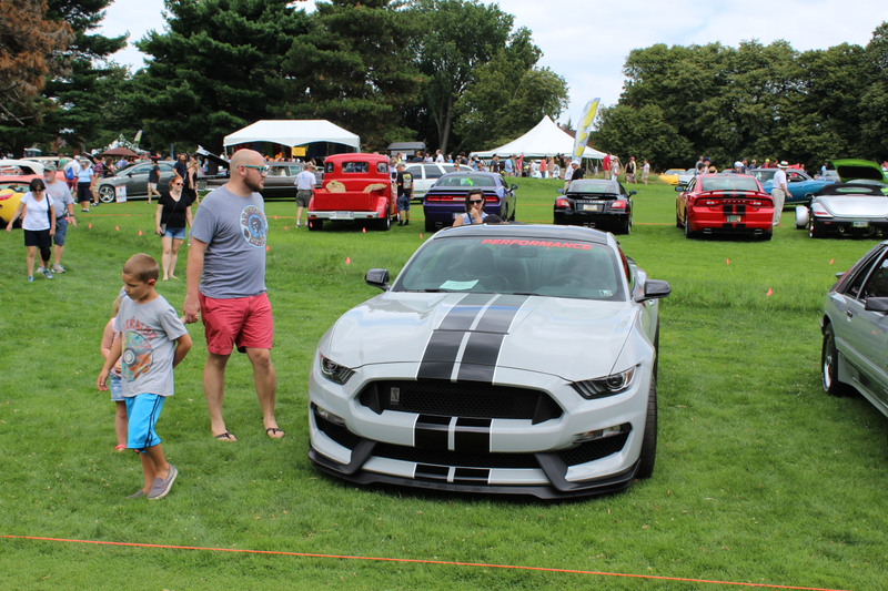 (Ford Mustang Shelby GT-350)